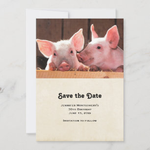 Cute Pink Piglets Animal Photograph Save The Date