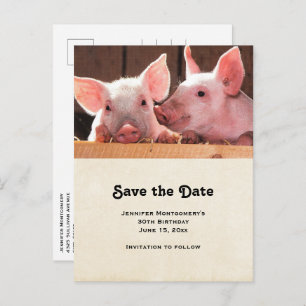 Cute Pink Piglets Animal Photograph Save the Date Invitation Postcard