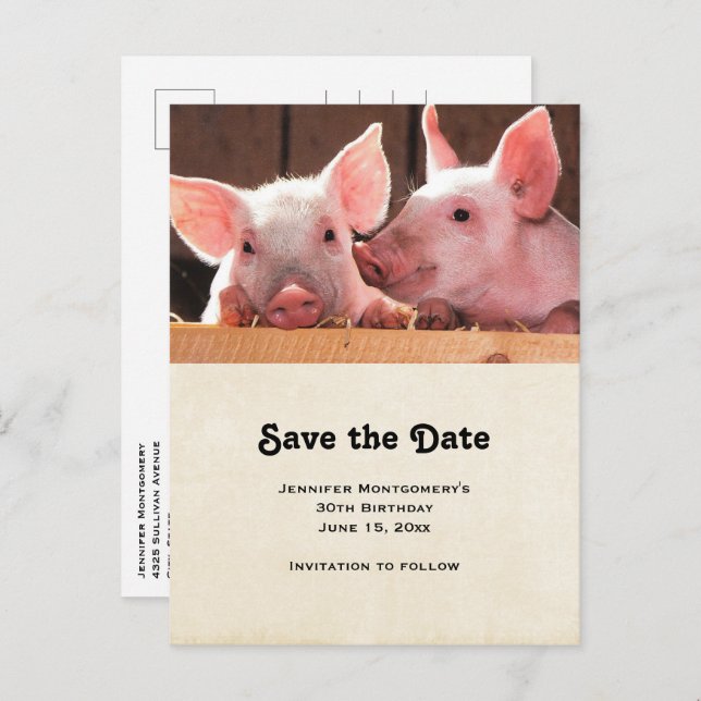 Cute Pink Piglets Animal Photograph Save the Date Invitation Postcard (Front/Back)