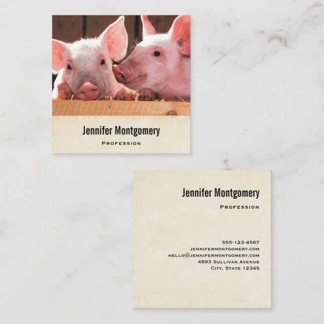Cute Pink Piglets Animal Photograph Square Business Card (Front/Back)