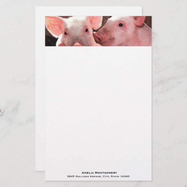 Cute Pink Piglets Animal Photograph Stationery (Front/Back)