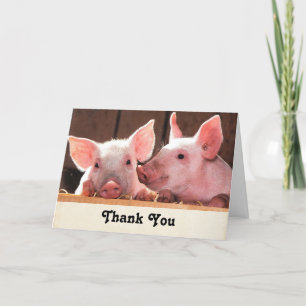 Cute Pink Piglets Animal Photograph Thank You Card