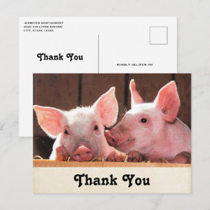 Cute Pink Piglets Animal Photograph Thank You Postcard