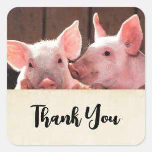 Cute Pink Piglets Animal Photograph Thank You Square Sticker