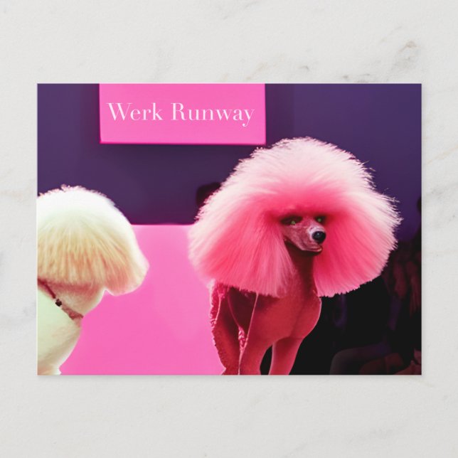 Cute Pink Poodle Runway Happy Birthday Postcard (Front)