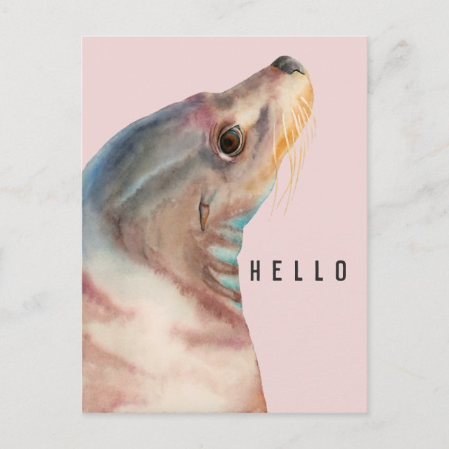 Cute Pink Sea Lion HELLO Postcard (Front)