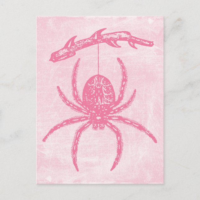 Cute Pink Spider Postcard (Front)