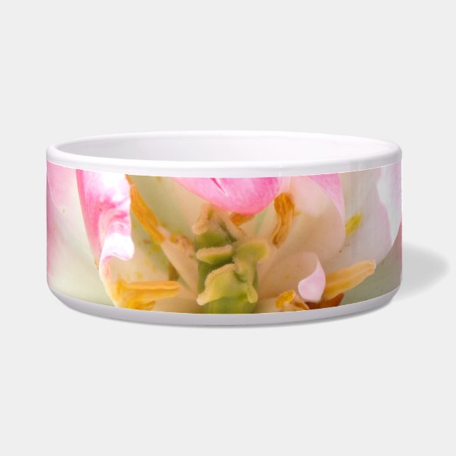 Cute pink tulip (Front)