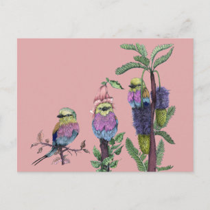 Cute Pink Watercolor African Bird Illustration Postcard