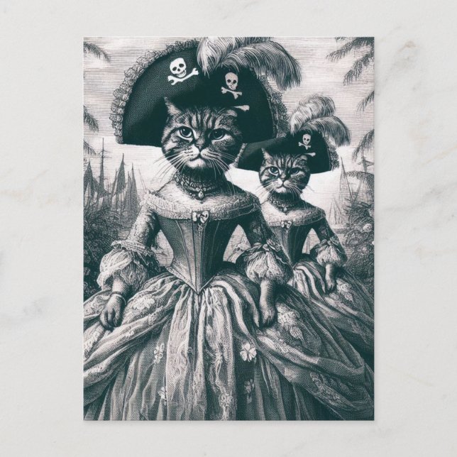 Cute Pirate Cats Postcard (Front)