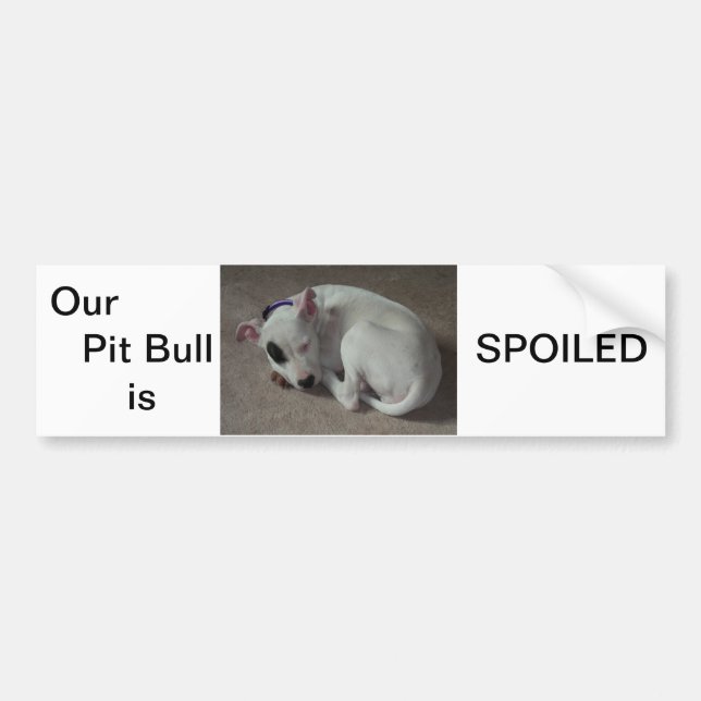 Cute pit bull bumper sticker (Front)