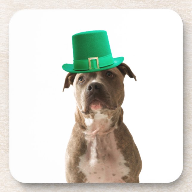 Cute Pit Bull Dog Hat St. Patrick's Day Coaster (Front)