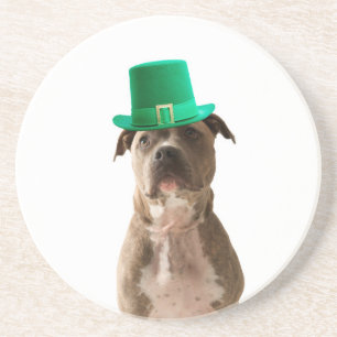 Cute Pit Bull Dog Hat St. Patrick's Day Coaster