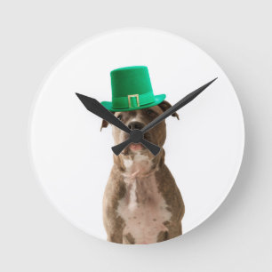 Cute Pit Bull Dog Hat St. Patrick's Day Round Clock