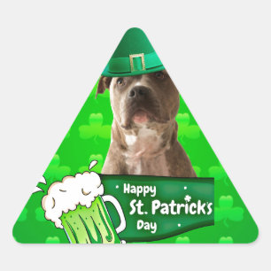 Cute Pit Bull Dog Hat St. Patrick's Day w Clovers Triangle Sticker