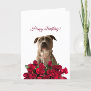 Cute Pit bull Dog Roses Happy Birthday Card