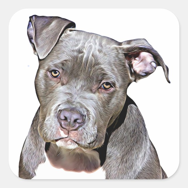 Cute Pit Bull Dog Stickers (Front)