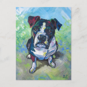 Cute Pit Bull Painting Postcard