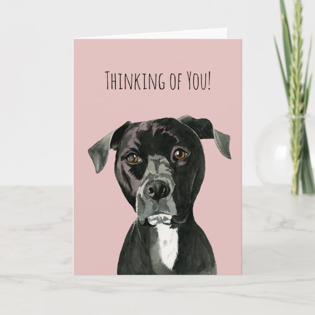 Cute Pit Bull Terrier Dog | Thinking of You Card (Front)