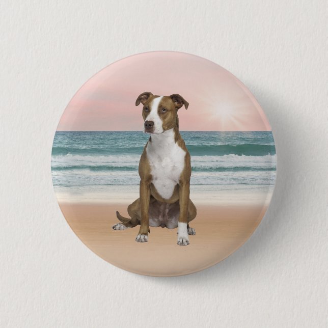 Cute Pitbull Dog Sitting on Beach with sunset 6 Cm Round Badge (Front)