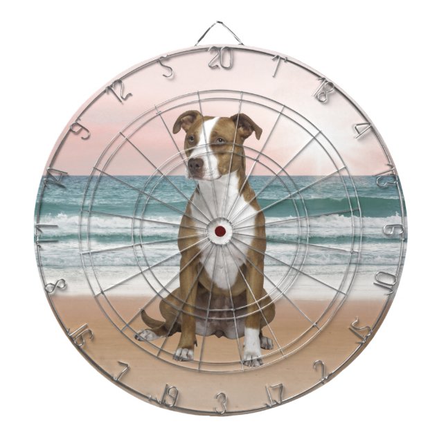 Cute Pitbull Dog Sitting on Beach with sunset Dartboard (Front)