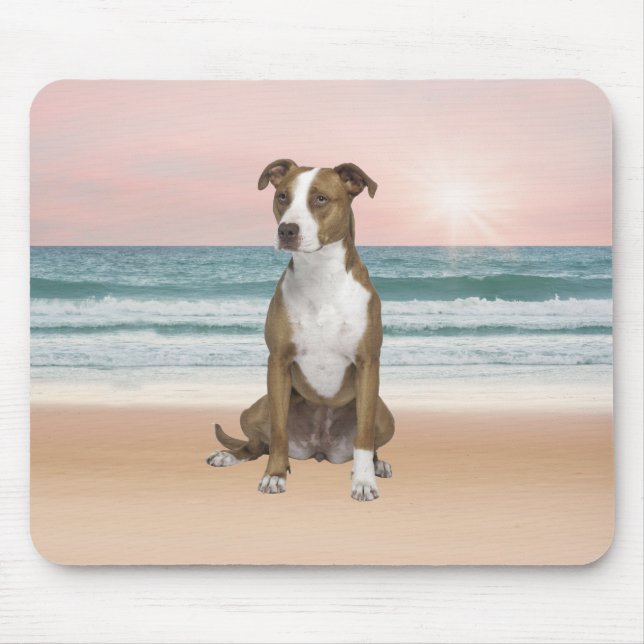 Cute Pitbull Dog Sitting on Beach with sunset Mouse Mat (Front)