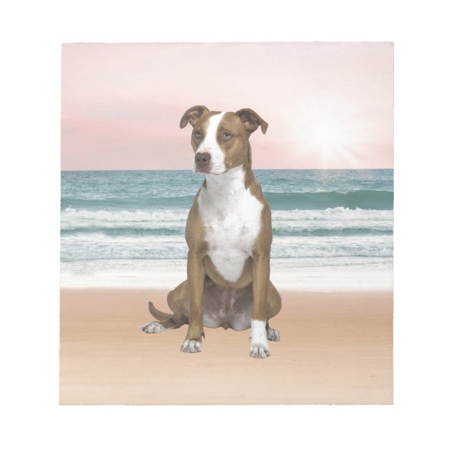 Cute Pitbull Dog Sitting on Beach with sunset Notepad (Front)
