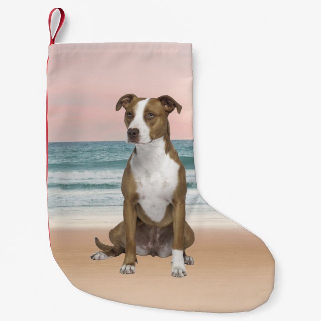 Cute Pitbull Dog Sitting on Beach with sunset Small Christmas Stocking (Front)