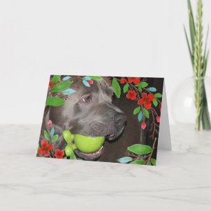 Cute Pitbull Terrier with Red Flower Frame Card