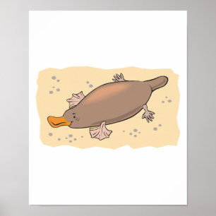 cute platypus in the sand poster