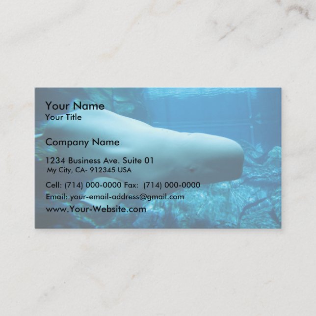 Cute Playful Beluga Whale In Aquarium At Georgia Business Card (Front)