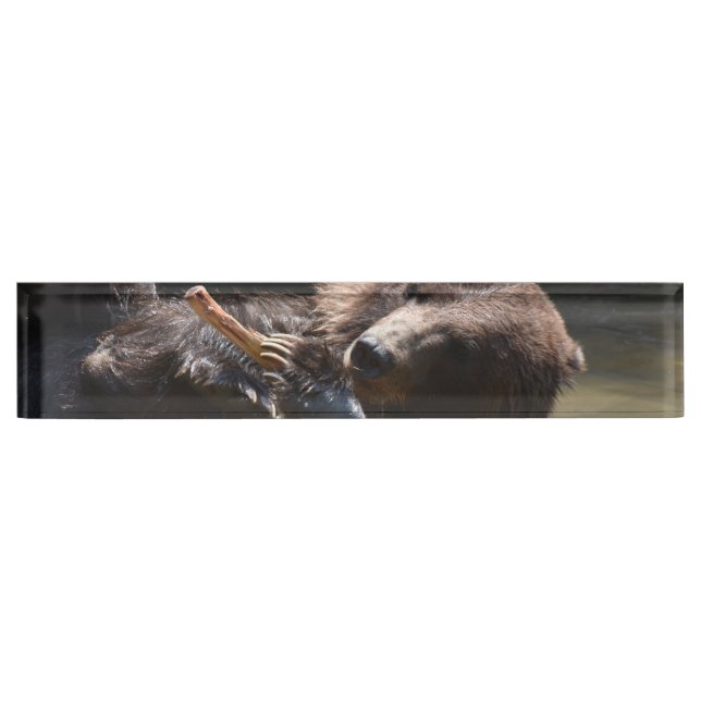 Cute Playful Brown Bear Nameplate (Front)