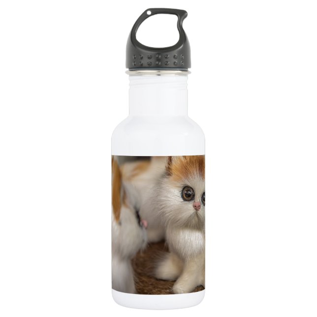 Cute Plushy Kittens 532 Ml Water Bottle (Front)