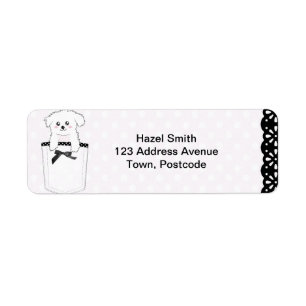 Cute Pocket Puppy Dog