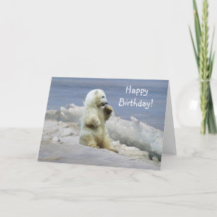 Cute Polar Bear Cub & Arctic Ice Birthday Card