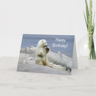 Cute Polar Bear Cub & Arctic Ice Birthday Card