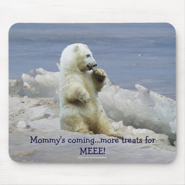 Cute Polar Bear Cub & Arctic Ice Funny Mousepad (Front)