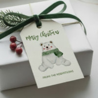 Cute Polar Bear Wearing Green Scarf Christmas