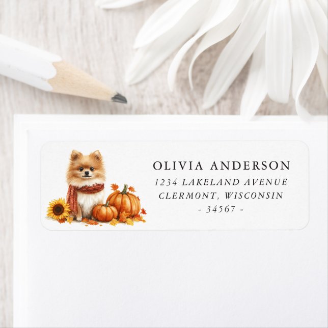 Cute Pomeranian Autumn Return Address (Insitu)