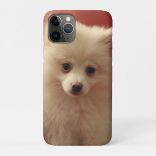 Cute Pomeranian Dog iPhone 11 Pro Case