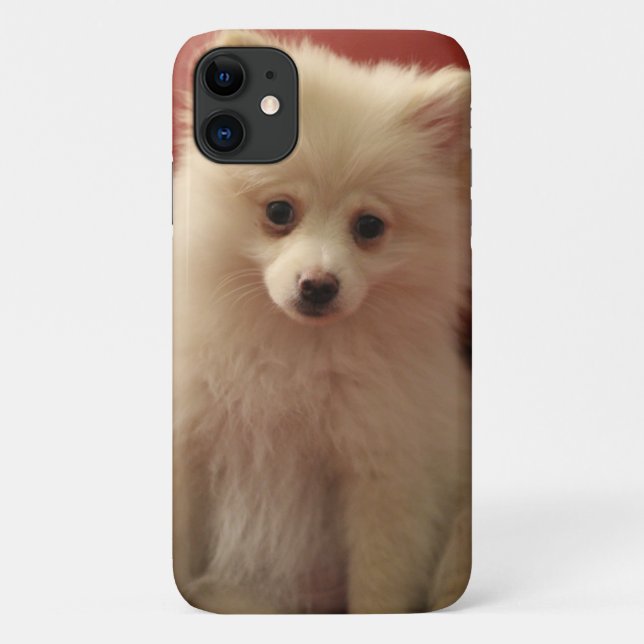 Cute Pomeranian Dog Case-Mate iPhone Case (Back)