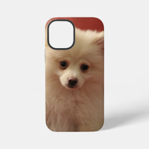 Cute Pomeranian Dog iPhone 12 Mini Case