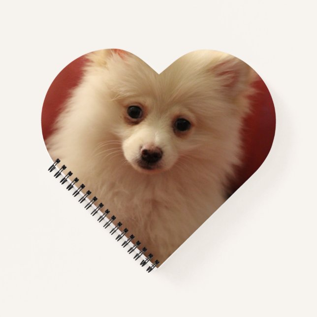 Cute Pomeranian Dog Notebook (Front)