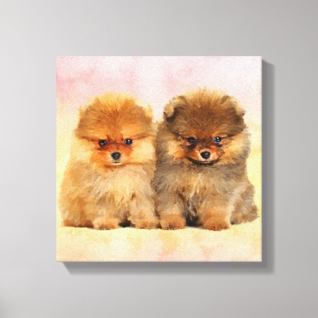Cute Pomeranian German Spitz  Puppies Canvas Print (Front)