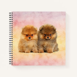 Cute Pomeranian German Spitz  Puppies Notebook