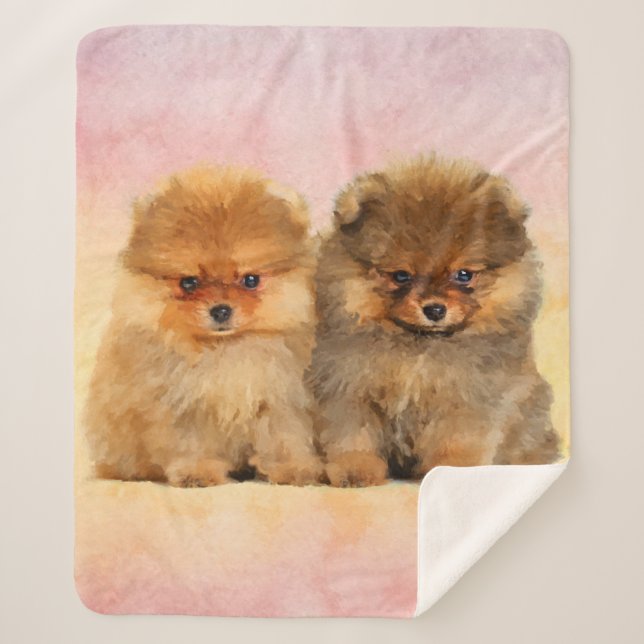 Cute Pomeranian German Spitz  Puppies Sherpa Blanket (Front)