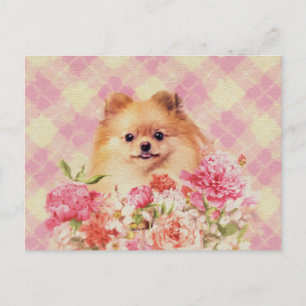 Cute Pomeranian German Spitz with Flowers Postcard