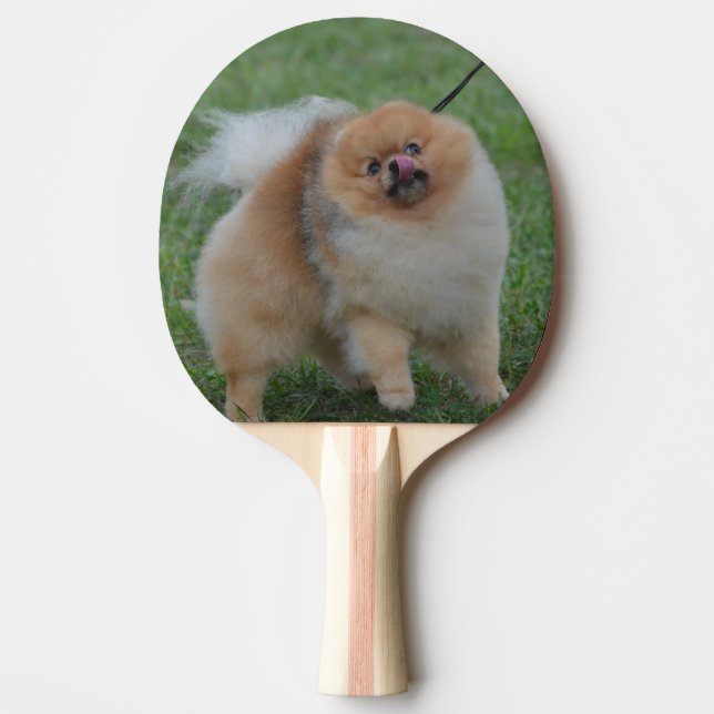 Cute Pomeranian Ping Pong Paddle (Front)