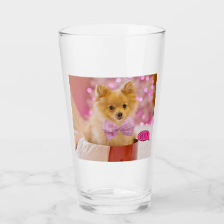 Cute Pomeranian Puppy Glass