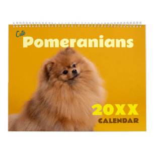 Cute Pomeranians Dog Wall Calendar